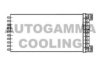 AUTOGAMMA 105271 Heat Exchanger, interior heating